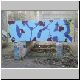 DSC00978.JPG